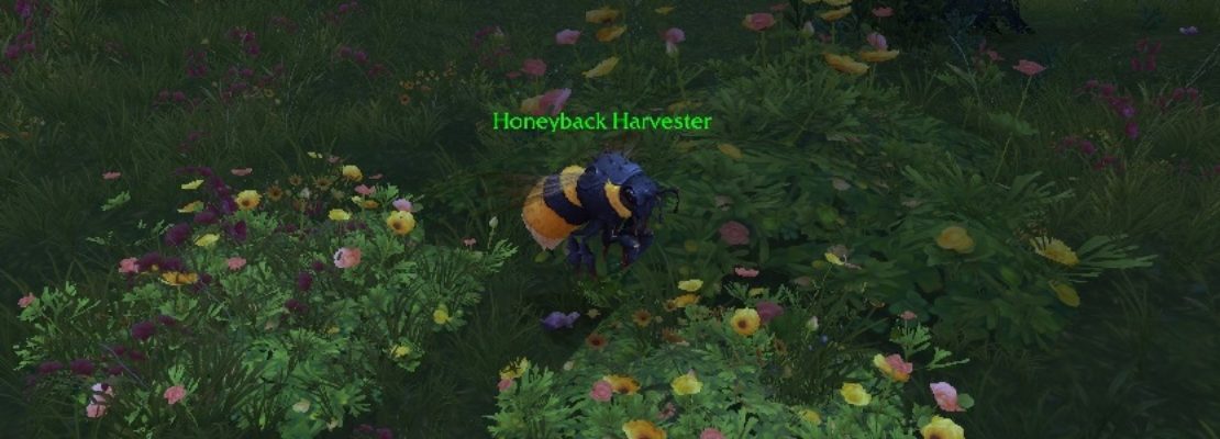 Patch 8.2.5: Die neue Fraktion für das Bienen-Reittier