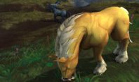 Shadowlands: Ein besonderes zähmbares Pferd für Allianz-Jäger